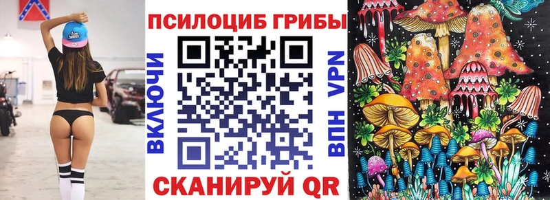 Купить закладки  Нестеровская  Галлюциногенные грибы Psilocybine cubensis